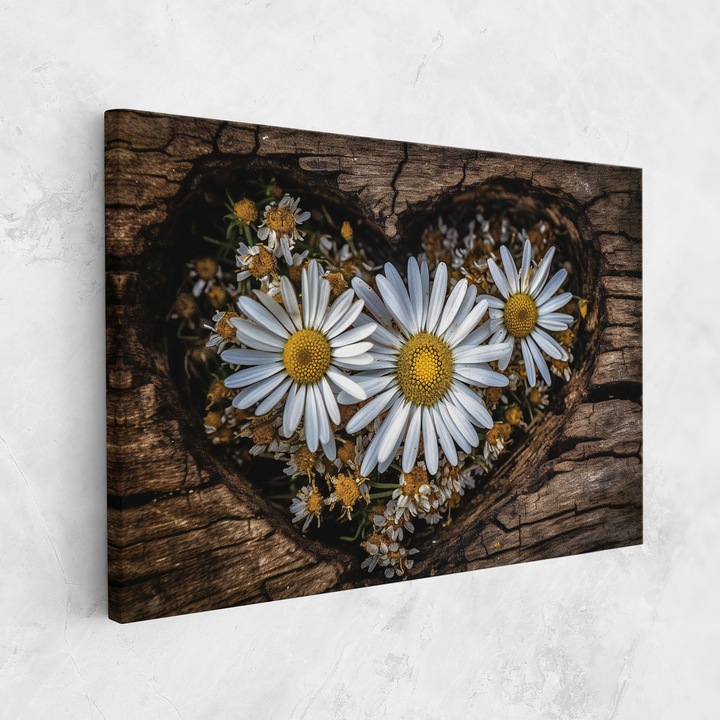 Tablou Canvas, 50x70 cm, Dormitor si Living, Flori, Margarete, Heart Shaped Daisy