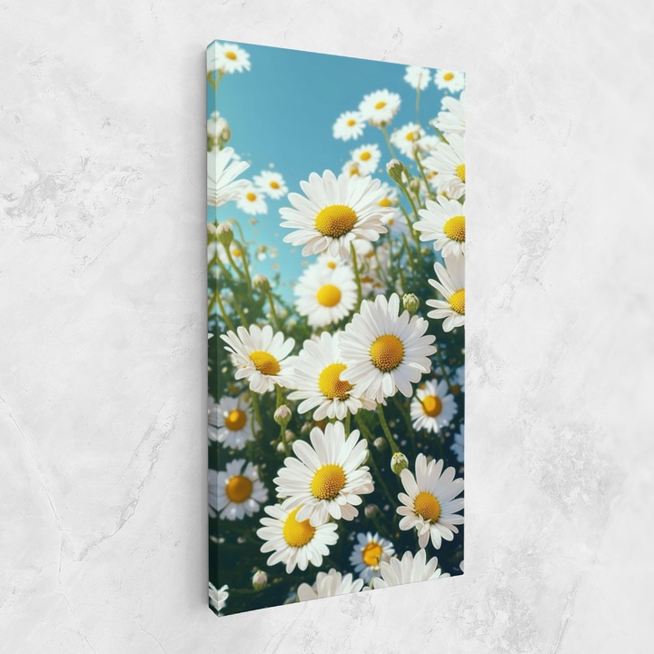 Tablou Canvas, 80x160 cm, Dormitor si Living, Flori, Margarete, Daisy Field View