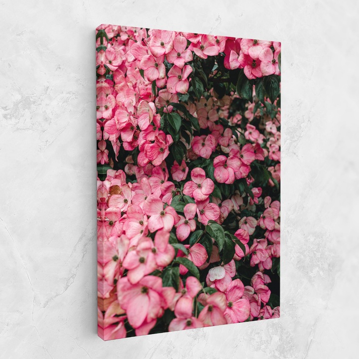 Картина на платно, ARTHUB, 70x100 cm | Спалня и Дневна, Цветя, Рози, Pink Rose Flower Tree