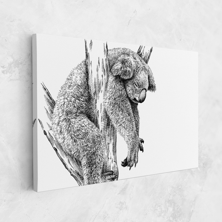 Tablou Canvas, 70x100 cm, Dormitor Si Living, Moderne, Alb Negru, Koala Sleeping Art
