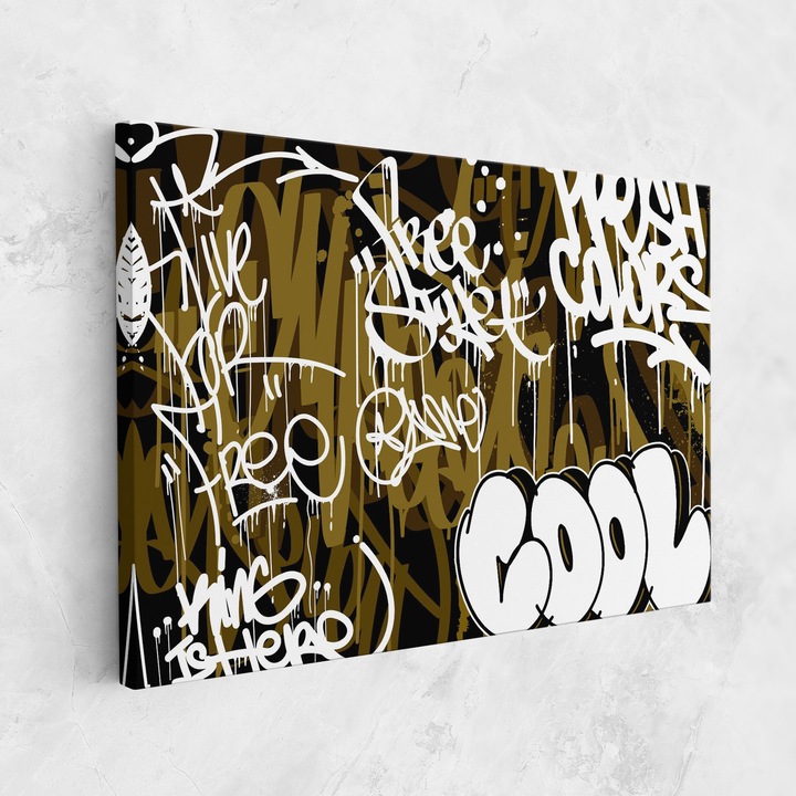 Tablou Canvas, 30x40 cm, Dormitor Si Living, Moderne, Graffiti, Cool Graffiti