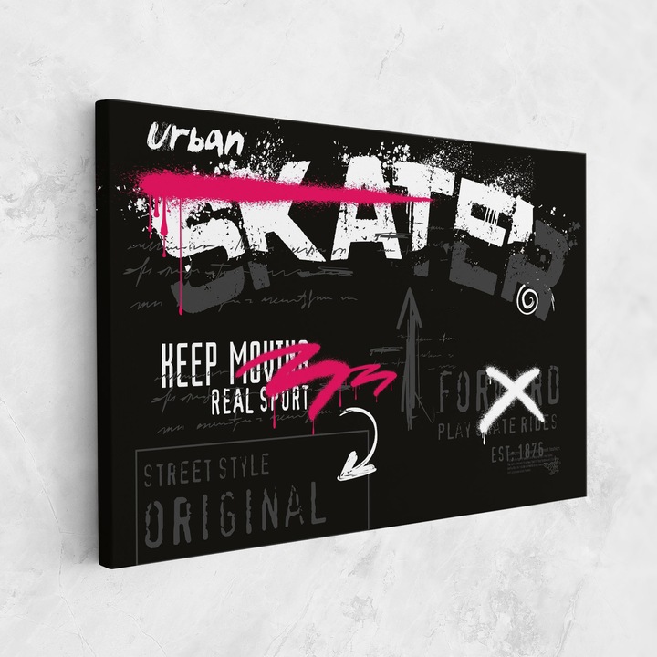 Tablou Canvas, 70x100 cm, Dormitor Si Living, Moderne, Graffiti, Skater Spray