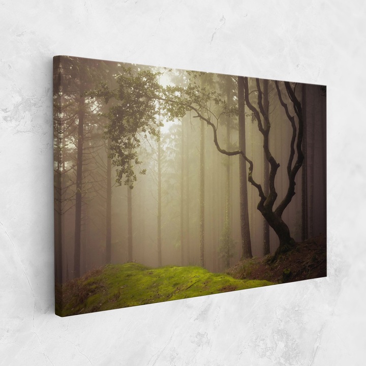 Tablou Canvas, 70x100 cm, Dormitor si Living, Peisaje, Paduri, Foggy Tree Art