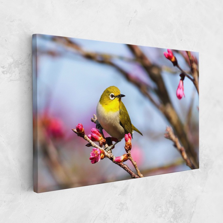 Tablou Canvas, 20x30 cm, Dormitor Si Living, Peisaje, Primavara, Cute Pink Flower Buds
