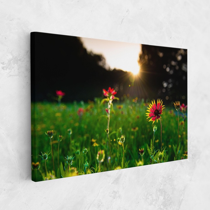 ARTHUB, Vászonkép 40x60 cm, Spring Red Yellow Flower | Hálószoba és Nappali, Tájképek, Tavasz