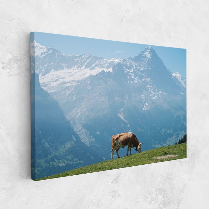 Tablou Canvas, 20x30 cm, Dormitor Si Living, Peisaje, Rural, Cow Mountain