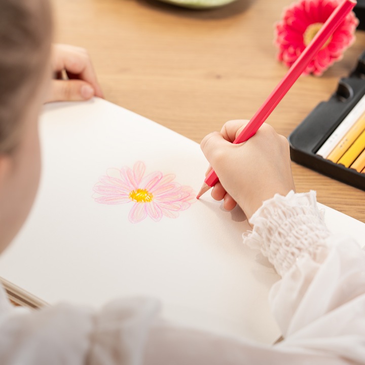 Set Creioane Colorate Acuarela Profesionale, 48 Culori Vibrante, Pigmenti Intensi si Luminoase, pentru Desen, Schite, Caligrafie, Pictura, Set Complet Artisti, Incepatori si Avansati, Design Ergonomic pentru Copii si Adulti Creativi, Ameste