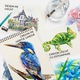 Set Creioane Colorate Acuarela Profesionale, 48 Culori Vibrante, Pigmenti Intensi si Luminoase, pentru Desen, Schite, Caligrafie, Pictura, Set Complet Artisti, Incepatori si Avansati, Design Ergonomic pentru Copii si Adulti Creativi, Ameste