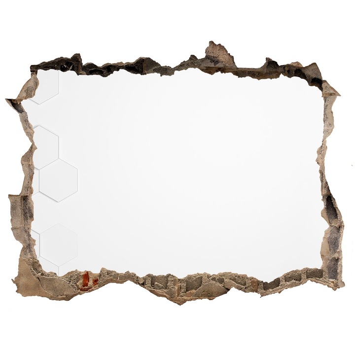 Autocolant decorativ. gaura in perete. Tulup. Tunel 3D. 95x64 cm. 010120080110000005889