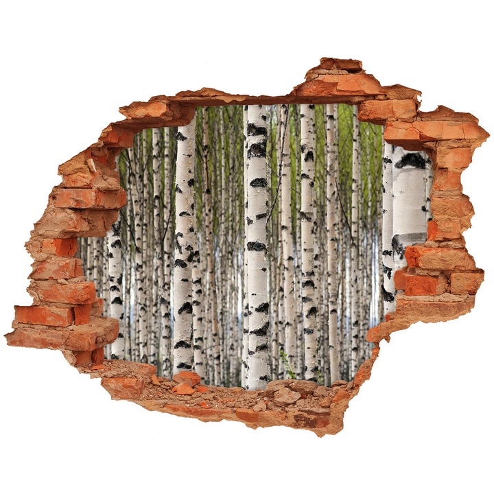 Autocolant decorativ. gaura in perete. Tulup. Padure de mesteacan. Gri. 90 x 70 cm. 010120080100000006296