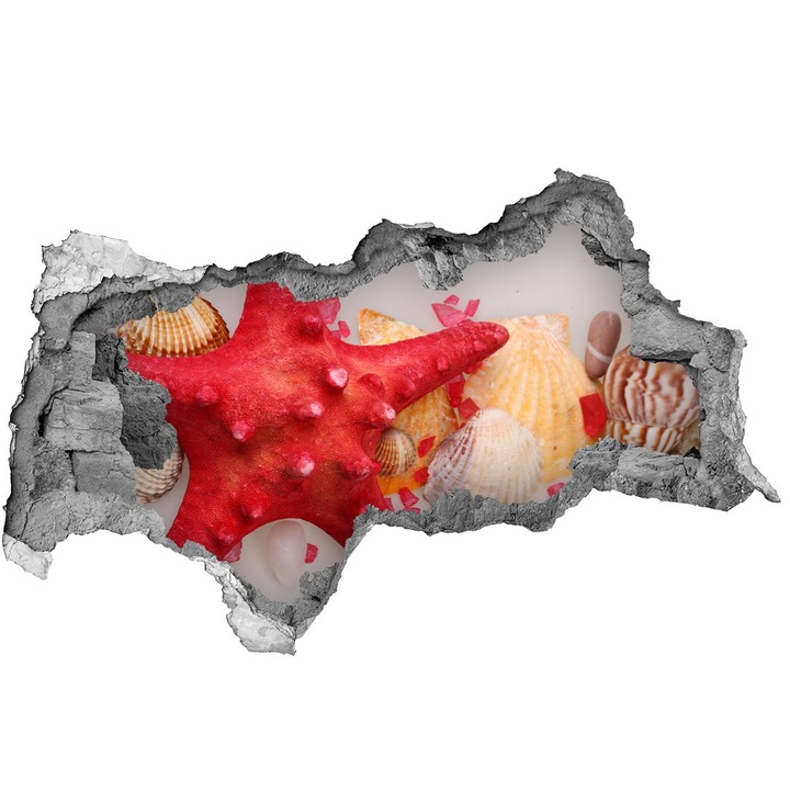 Autocolant decorativ. gaura in perete. Tulup. Stele de mare si scoici. 115x88 cm. 010120080020000005755