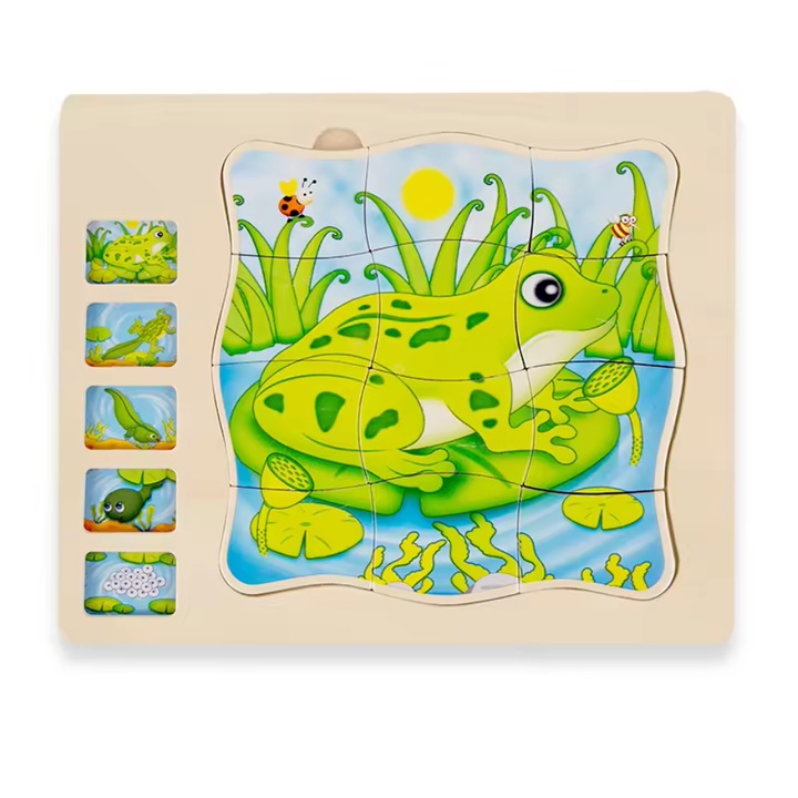 Fából készült puzzle 5 rétegben a békák életciklusával, 22x18x2cm