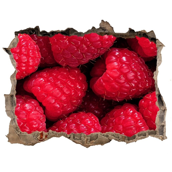 Autocolant decorativ. gaura in perete. Tulup. furnir zmeura. Multicolor. 168x113 cm. 010120080080000006938