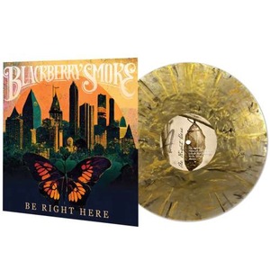 Vinyl-uri si cd-uri muzica