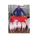 Panou indrumator pentru porci, KERBL, rosu, 126x76 cm