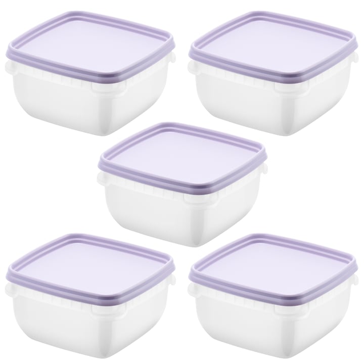 Set 5 caserole cu capac, depozitare alimente, Freez SmartStore, 0.5L, compatibila cu cuptorul microunde si congelator, capac ermetic