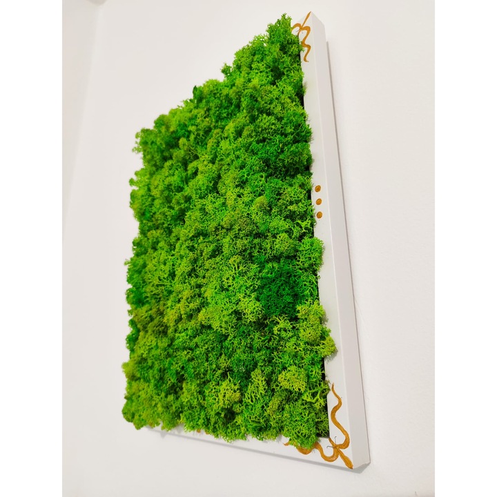 Tablou cu licheni naturali stabilizati, verde deschis, cu rama alba pictata manual, Onesse Design, 21/30cm