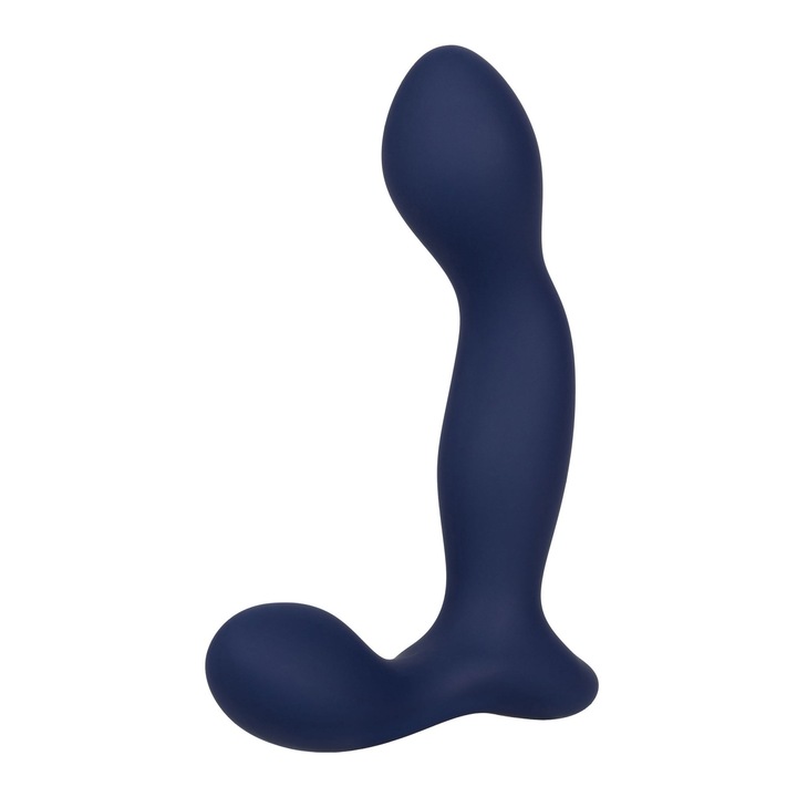 Vibrator anal CalExotics Viceroy Expert, silicon hipoalergenic, flexibila, albastru, 12x8.25cm
