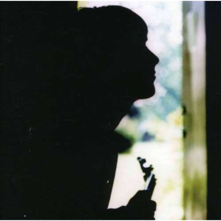 Paul Weller - Wild Wood (CD)