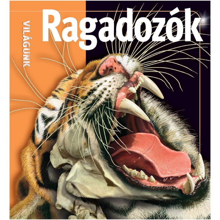 Kreativ - Ragadozók