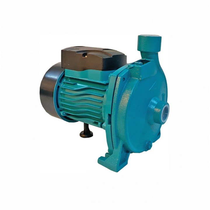 Pompa Apa Suprafata Bobinaj Cupru 1KW 110 l/min