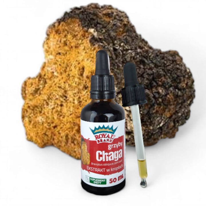 Chaga (Inonotus obliquus) extract 50 ml subcortex, extractul sustine longevitatea