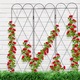 Spalier pentru plante cataratoare, otel, Relaxdays, dimensiuni 162.5 x 109 cm