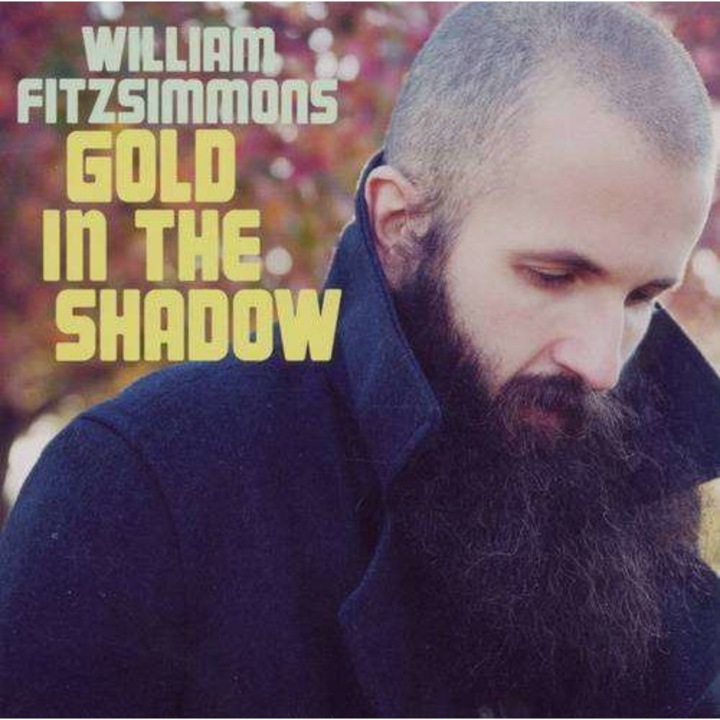 William Fitzsimmons - Gold In the Shadow (CD)