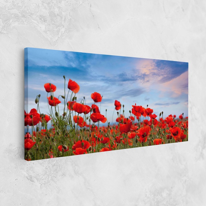 Tablou Canvas, 60x120 cm, Dormitor si Living, Flori, Maci, Poppy Field