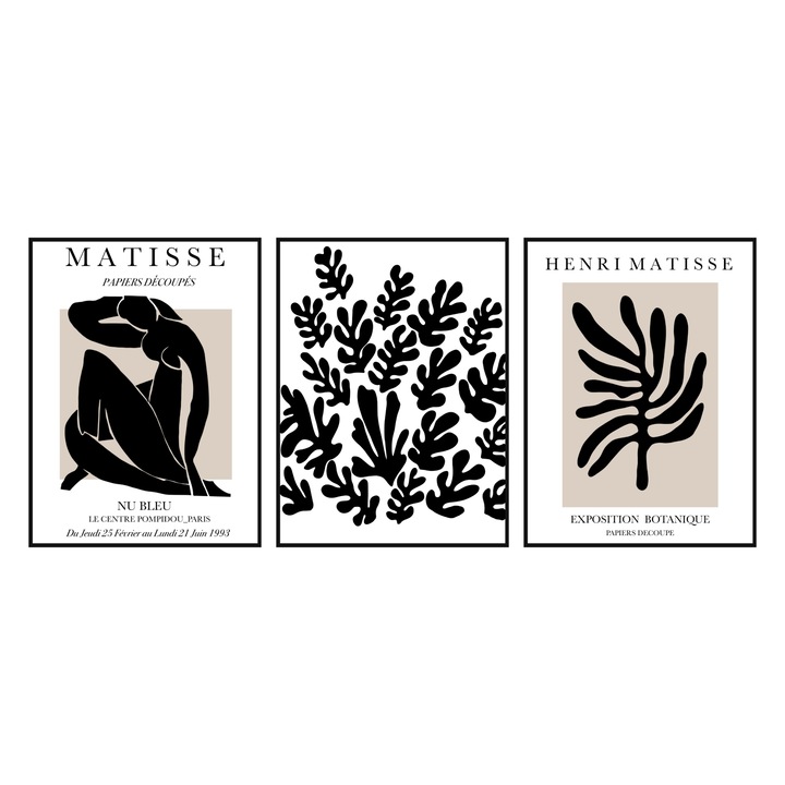 Set 3 tablouri, tema Matisse Black, A4, 21cm x 30cm, fara rama, print pe hartie foto premium, 250 g/m2