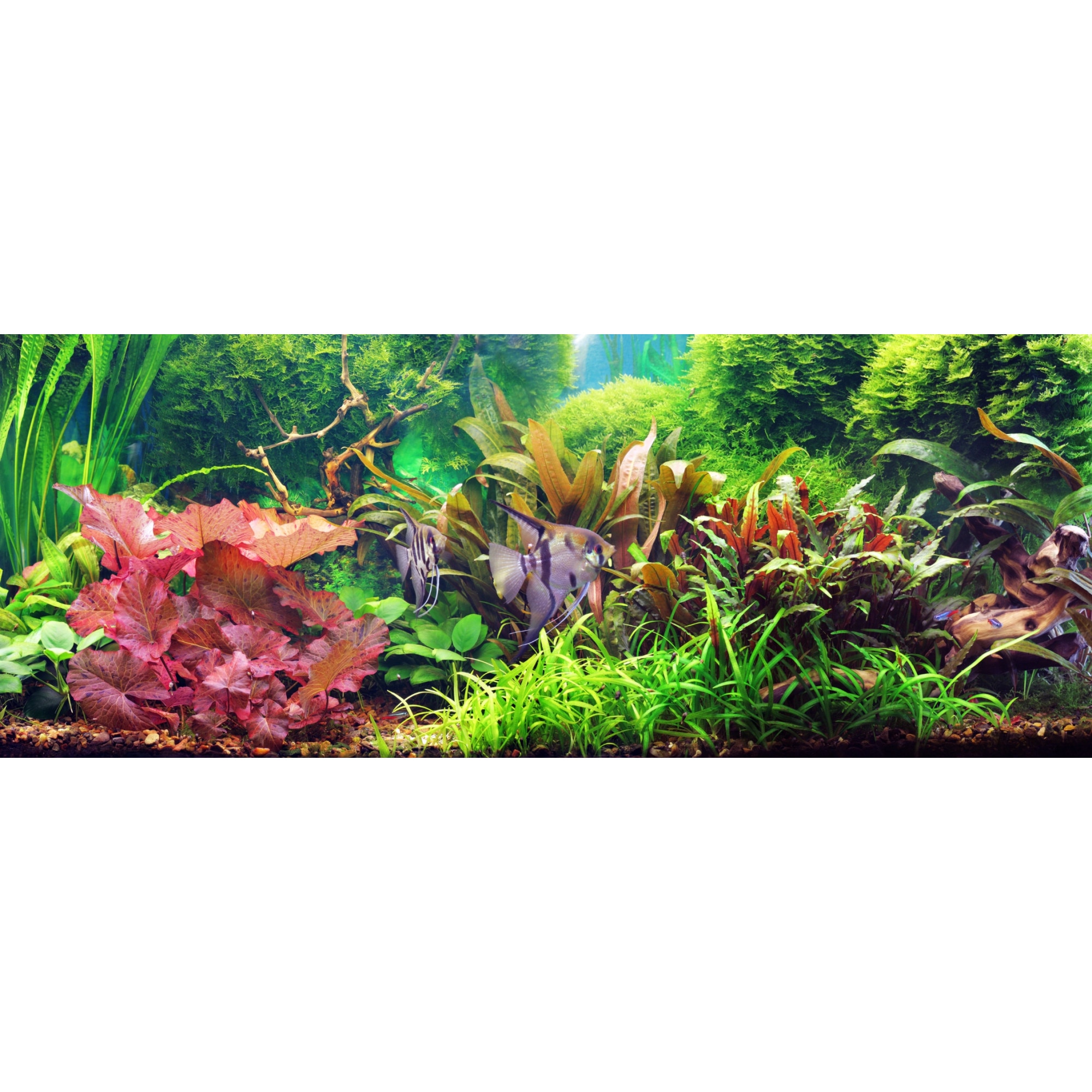 LED лампа за аквариум FULL SPECTRUM 2x60см аквариум GROW двоен ред ...