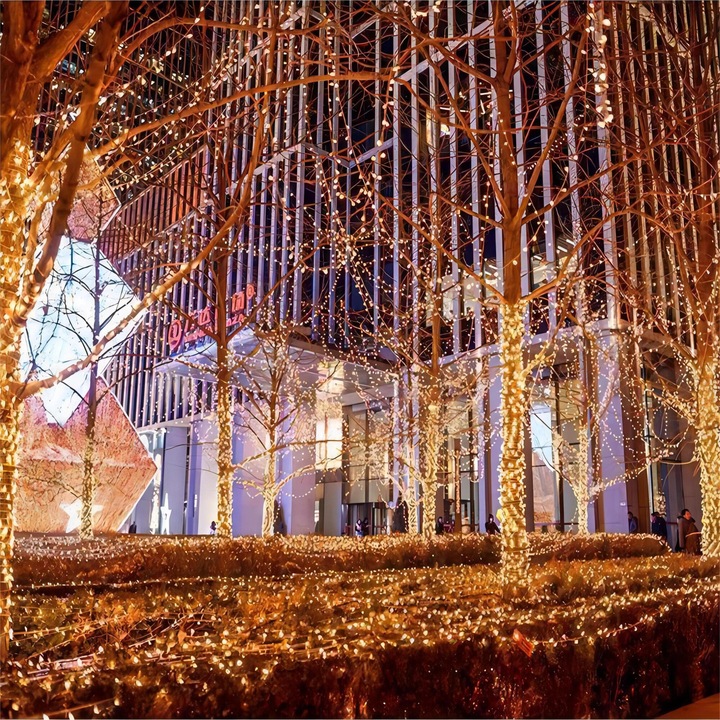 Instalatie Solara de Exterior, 8 Moduri de Iluminare, Impermeabila, Alb Cald, 7m