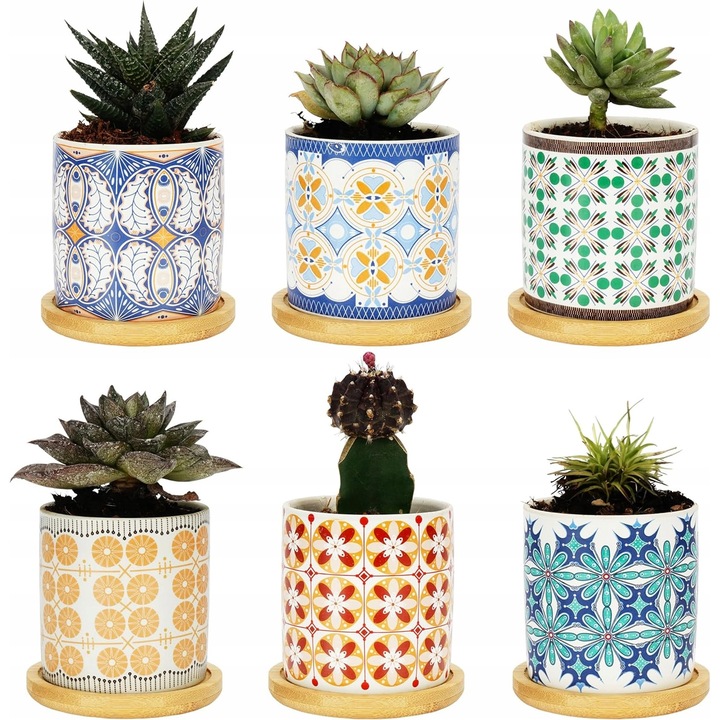 Set 6 ghivece pentru suculente, Luka, ceramica, cu suporturi, 7.3 x 7.5 cm, multicolor