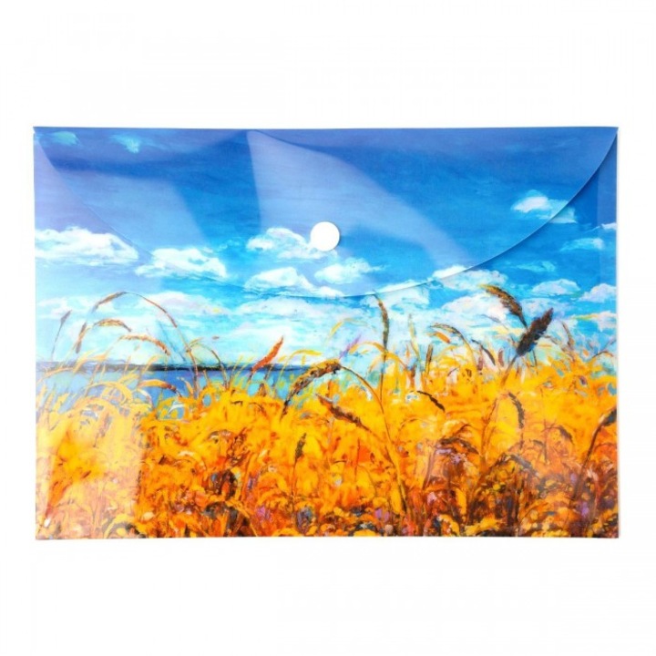 Комплект 5 папки А5, Нарцис, Полипропилен, 240x25x170mm, Син