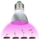 Bec crestere plante QttvbTna, 28 LED-uri, spectru complet, 7W, 6.2x5cm