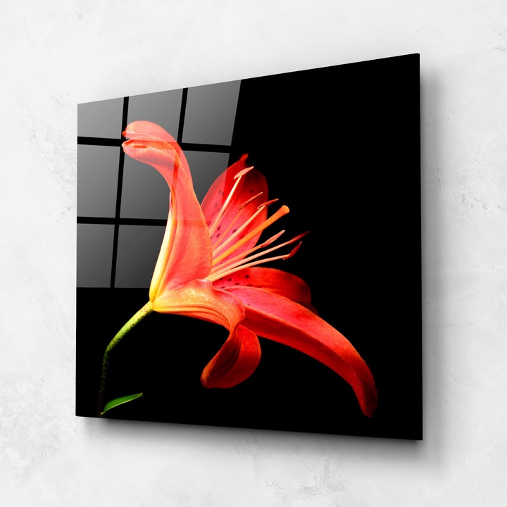 ARTHUB, Стъклена картина 100x100cm, Спалня и Дневна, цветя, лилии, Pretty Red Lily