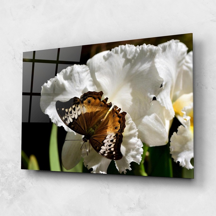 ARTHUB, Стъклена картина 80x120cm, Спалня и Дневна, цветя, екзотични цветя, Butterfly Exotic Plant