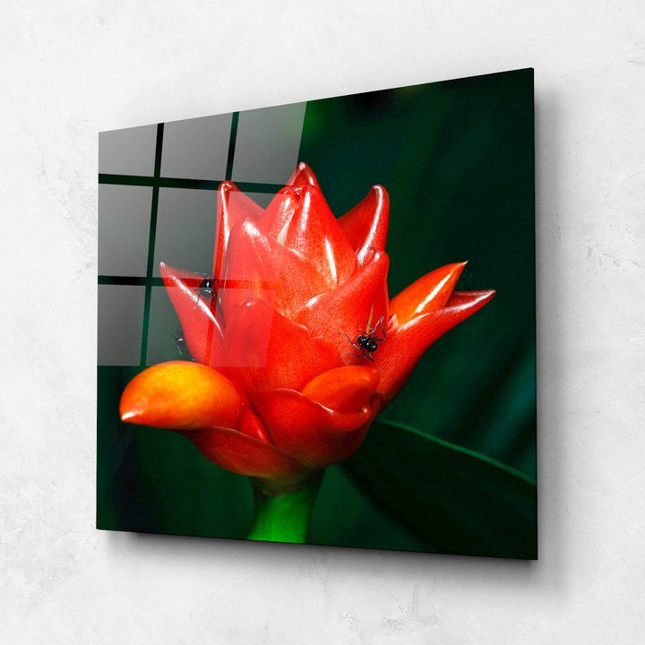 Tablou Sticla, 100x100cm, Dormitor si Living, Flori, Flori Exotice, Cool Orange Exotic