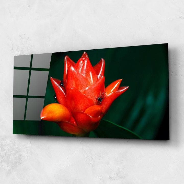 Tablou Sticla, 60x150cm, Dormitor si Living, Flori, Flori Exotice, Cool Orange Exotic