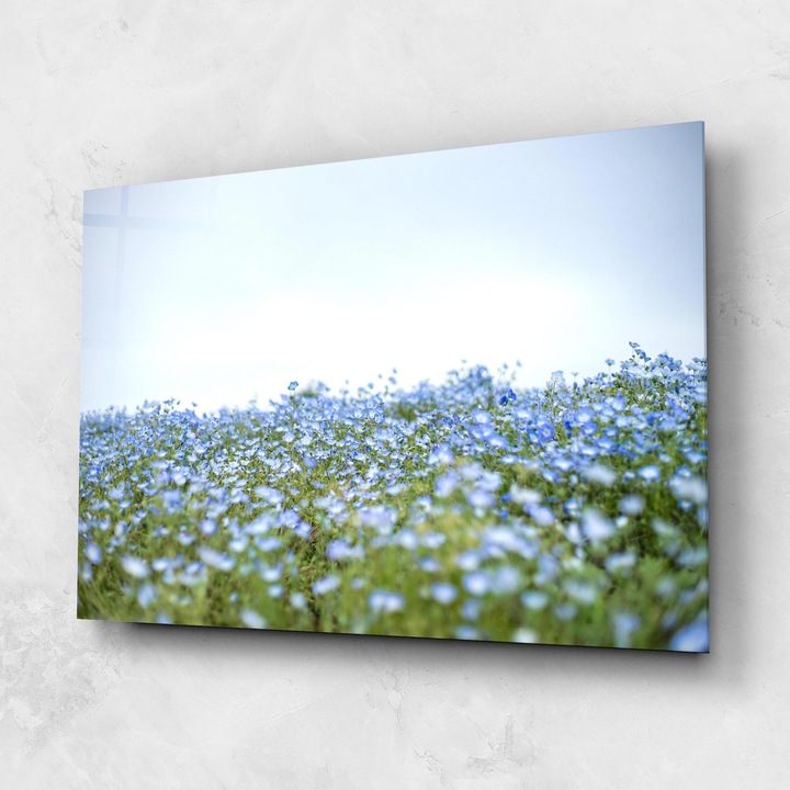 ARTHUB, Стъклена картина 80x120cm, Спалня и Дневна, цветя, цветя в природата, Blue Wild Flowers