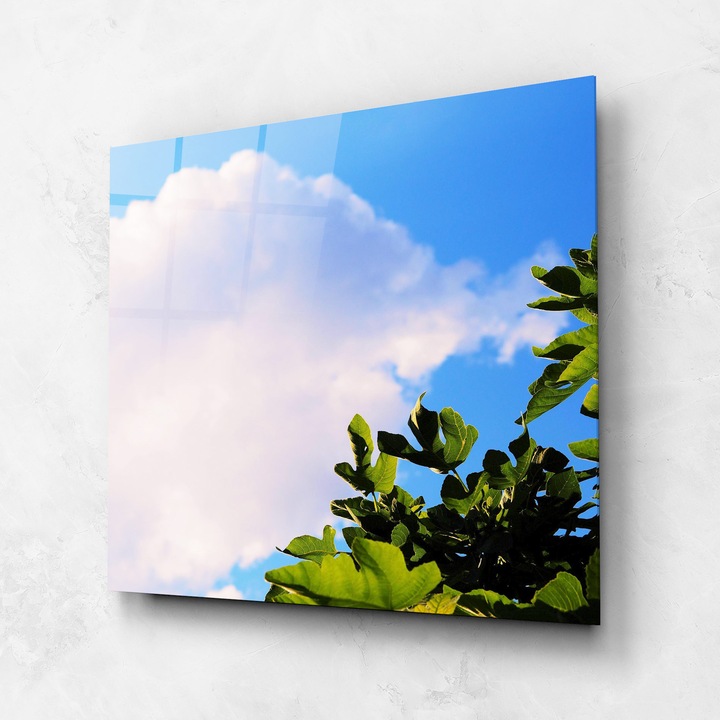 Arthub, Üvegkép, 60x60cm, Hálószoba és Nappali, Virágok, Virágok A Természetben, J Cruikshank Lhzagi8n3oi Unsplash