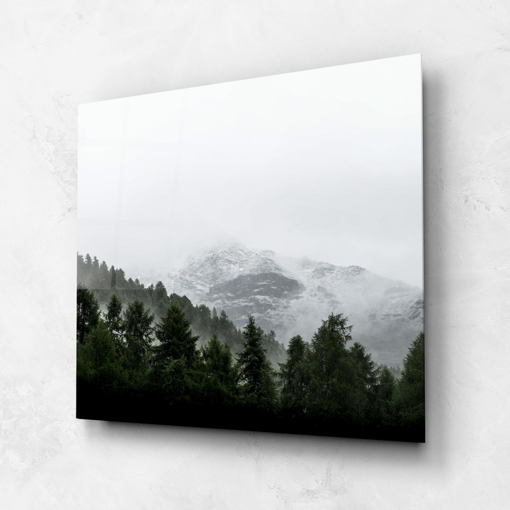 Tablou Sticla, 60x60cm, Dormitor si Living, Peisaje, Paduri, Foggy Mountain Forest