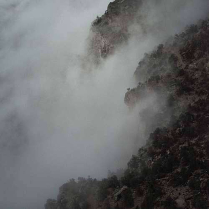 Like Rats - Like Rats (CD)