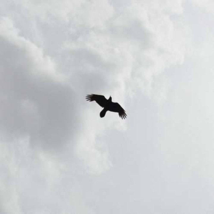 Moon Bros - These Stars (LP)