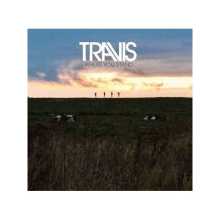 Travis - Where You Stand (LP)