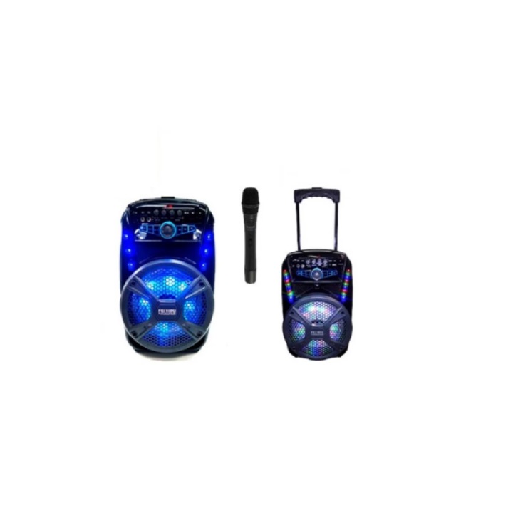Преносима караоке тонколона с вграден акумулатор, FEYIPU ES-81, FM радио, MP3 плейър, SD карта, Флаш памет, Bluetooth и безжичен микрофон за караоке