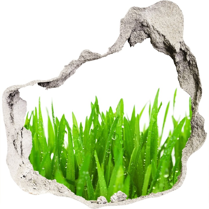 Autocolant decorativ pentru gaura, Tulup, iarba, Verde, 100x100 cm, 010120080010000006348