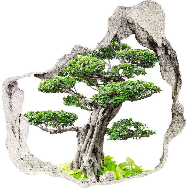 Autocolant decorativ pentru gaura, Tulup, Copac bonsai, Verde, 100x100 cm, 010120080010000006533
