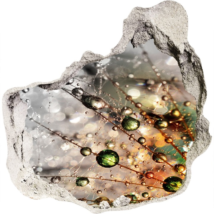 Autocolant decorativ pentru gaura. Tulup. Seminte de suflare. Multicolor. 100x100 cm. 010120080010000006195