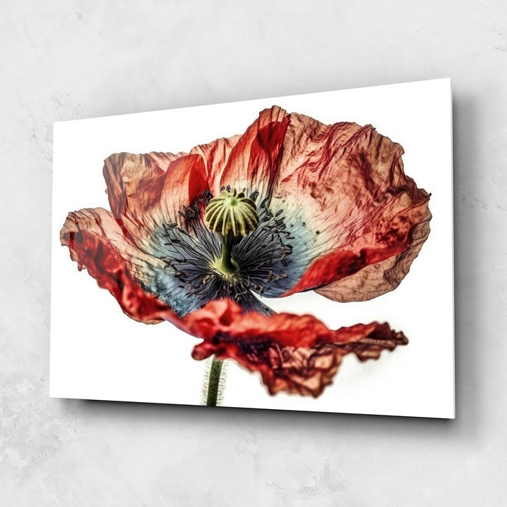 ARTHUB, Стъклена картина 60x80cm, Спалня и Дневна, цветя, макове, Red Blue Poppy Close Up
